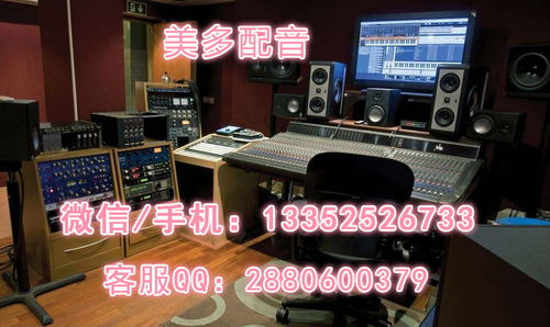 淡水銀魚市場行情與錄音制作應用